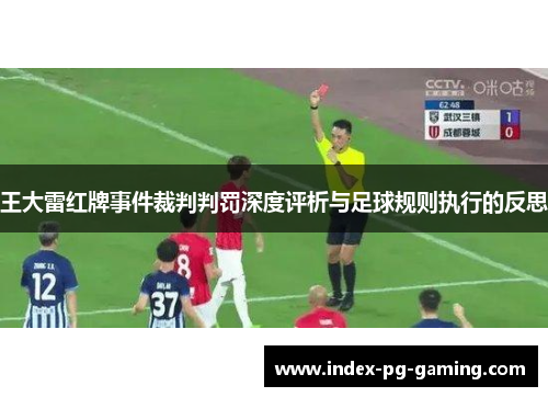 王大雷红牌事件裁判判罚深度评析与足球规则执行的反思
